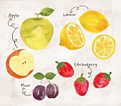 Obststillleben mit Äpfeln, Zitronen, Pflaumen & Erdbeeren (Illustration)