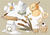 Stillleben mit eiweissreichen & kohlenhydratreichen Lebensmitteln (Illustration)