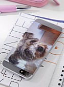 Photo of dog printed on adhesive film and stuck on mobile phone