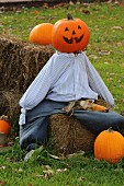 Pumpkin scarecrow wearing shirt and trousers sitting on hay bale