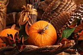 Autumnal still-life arrangement with pumpkins and feathers