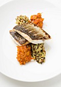 Seabass on rice and a pepper relish