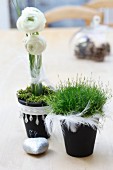 Moss and grass in plant pots decorated with ribbons and feathers as festive table decorations