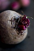 Beetroot (close-up)