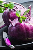 Two purple kohlrabi with leaves in a black bowl with a purple kitchen knife
