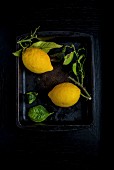 Two lemons with leaves in a black bowl
