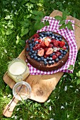 Semi-frozen chocolate cake with berries for a picnic