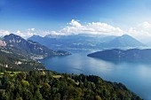 Blick über den Vierwaldstättersee, Schweiz