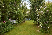 Rasenfläche in parkähnlichem Garten mit Bank und Stühlen zwischen Gehölzen und Rosenbüschen