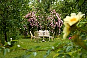 Sitzgruppe im Antikstil vor üppigem Rosenbusch im Garten