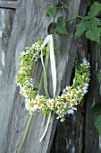 Wild-flower wreath of ox-eye daisies, chamomile and lady's mantle decorated with ribbons on wooden board