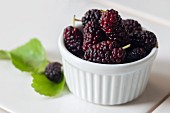 Fresh mulberries in a white bowl