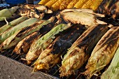 Grilled corn cobs at a market in New York