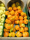 Orange peppers at a market