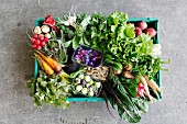 Gemüsekiste mit Biogemüse und Salat (Draufsicht)