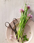 Fresh chives with flowers and a pair of scissors