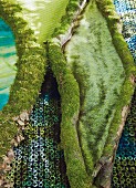 Decorative green fabric between moss covered twigs