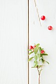 A sprig of lingonberries on a white surface