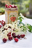 Fresh cherries and elderflowers on a garden table with an old tin decorated with cherries in the background