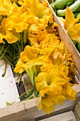 Courgette flowers in a wooden crate at a weekly market on Corsica