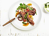Octopus salad with cherry tomatoes and oranges