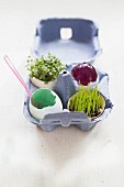 Easter eggs filled with jelly, wheat grass and rocket sprouts