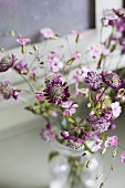 Astrantia and delicate pink flowers in glass of water