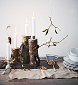 Alternative Advent arrangement of branches and ornamental birds on table