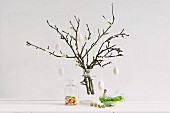 Knospende Obstbaumzweige dekoriert mit weissen Hühnereiern als Osterdekoration