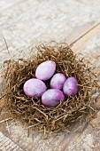 Easter eggs dyed using cochineal in nest of hay