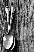 Two antique silver spoons (black-and-white shot)