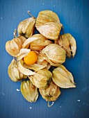 Physalis on a blue surface