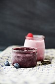 Homemade blueberry sorbet and raspberry sorbet