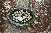 Quail's eggs in a pewter bowl on an antique metal surface