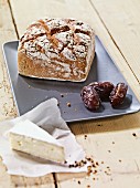 A square loaf of rye bread and dates on a ceramic platter with a slice of cheese next to it