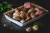 Young potatoes covered in soil in an aluminium roasting tin