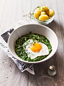 Fried egg and creamy spinach with new potatoes