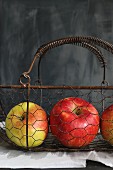 Apples in a vintage wire basket against a grey background