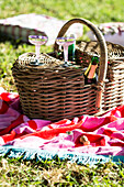 Picnic basket with sparkling wine