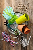 Gardening utensils and seeds on rustic wooden surface