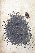 Black lentils on a grey surface