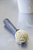 A scoop of ice cream in an ice-cream scoop