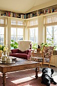 Comfortable chairs, wooden coffee table and dog lying on rug in conseratory