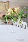 weiße Tulpen und Efeu in eleganten Likörgläser als Tischdekoration
