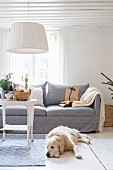 Dog lying on floor in front of couch and white-painted side table below pendant lamp with white fabric lampshade in rustic living room