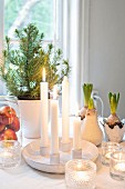 Vier weiße, brennende Kerzen und Windlichter vor Tannenbäumchen im Übertopf und Hyazinthen