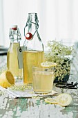 Bottles of elderflower syrup and a glass of elderflower cordial with a slice of lemon
