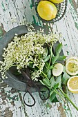 Elderflowers, lemons and a pair of scissors on a metal plate on a wooden table