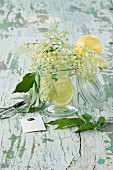 Elderflowers and lemon slices in a glass on a wooden table