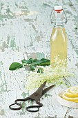 Elderflower syrup, elderflowers, lemon slices and a pair of scissors on a wooden table